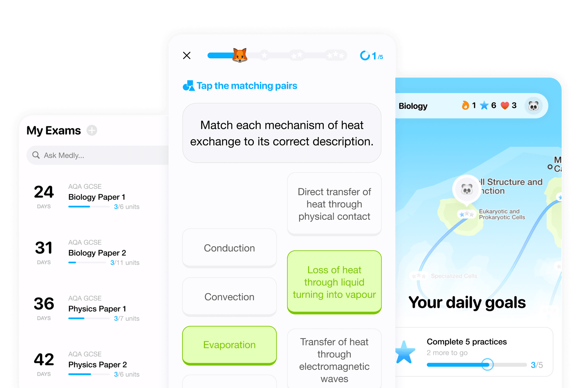 Medly App Interface
